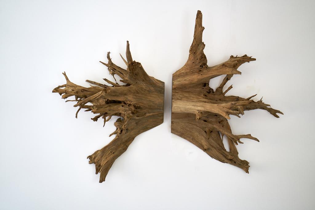Sparrow Sintra Nest 외부 사진